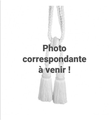 79 - GALON LARGE CHENILLE -...